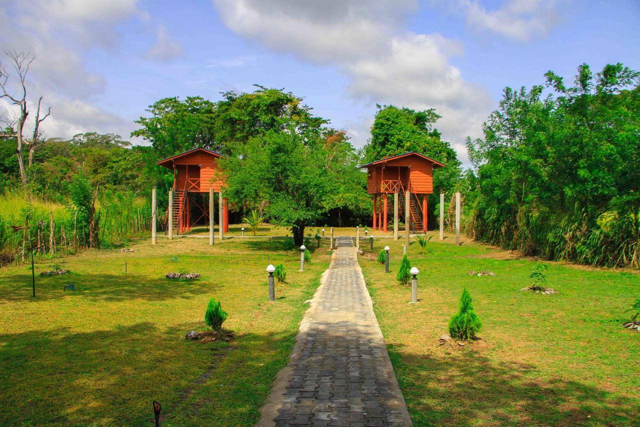 Sigiri Royal Point Tree House Hotel Сигирия Екстериор снимка