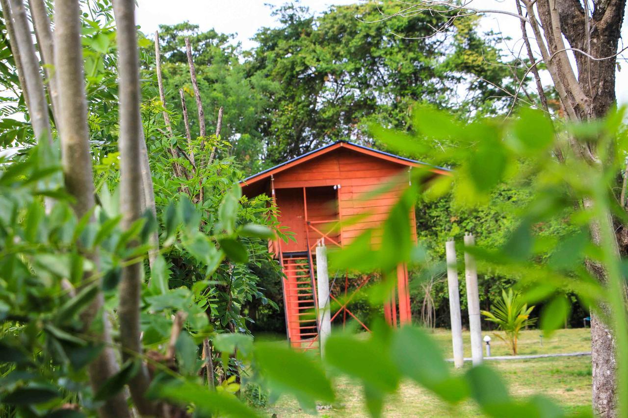 Sigiri Royal Point Tree House Hotel Сигирия Екстериор снимка