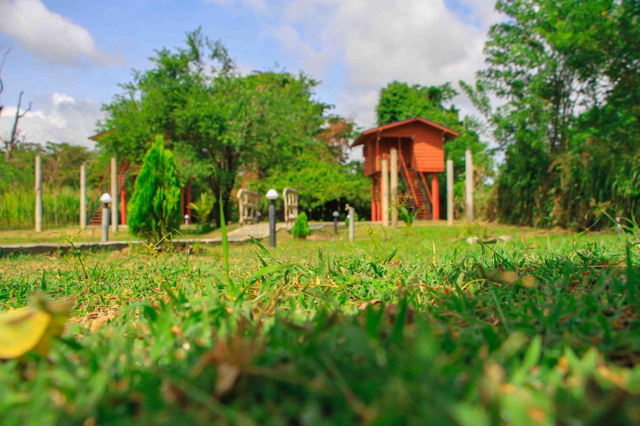 Sigiri Royal Point Tree House Hotel Сигирия Екстериор снимка