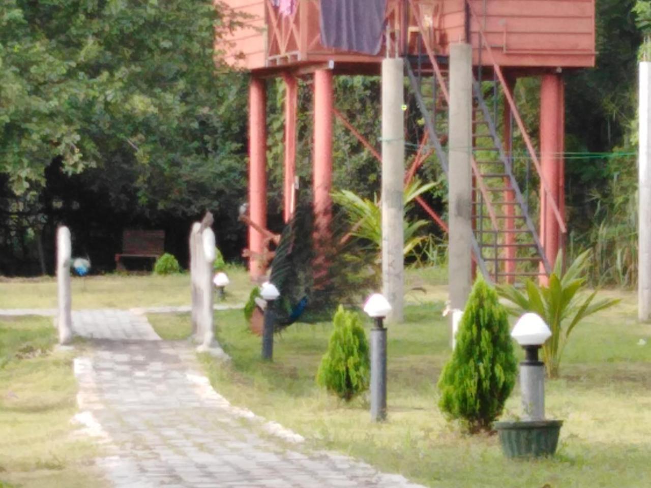 Sigiri Royal Point Tree House Hotel Сигирия Екстериор снимка
