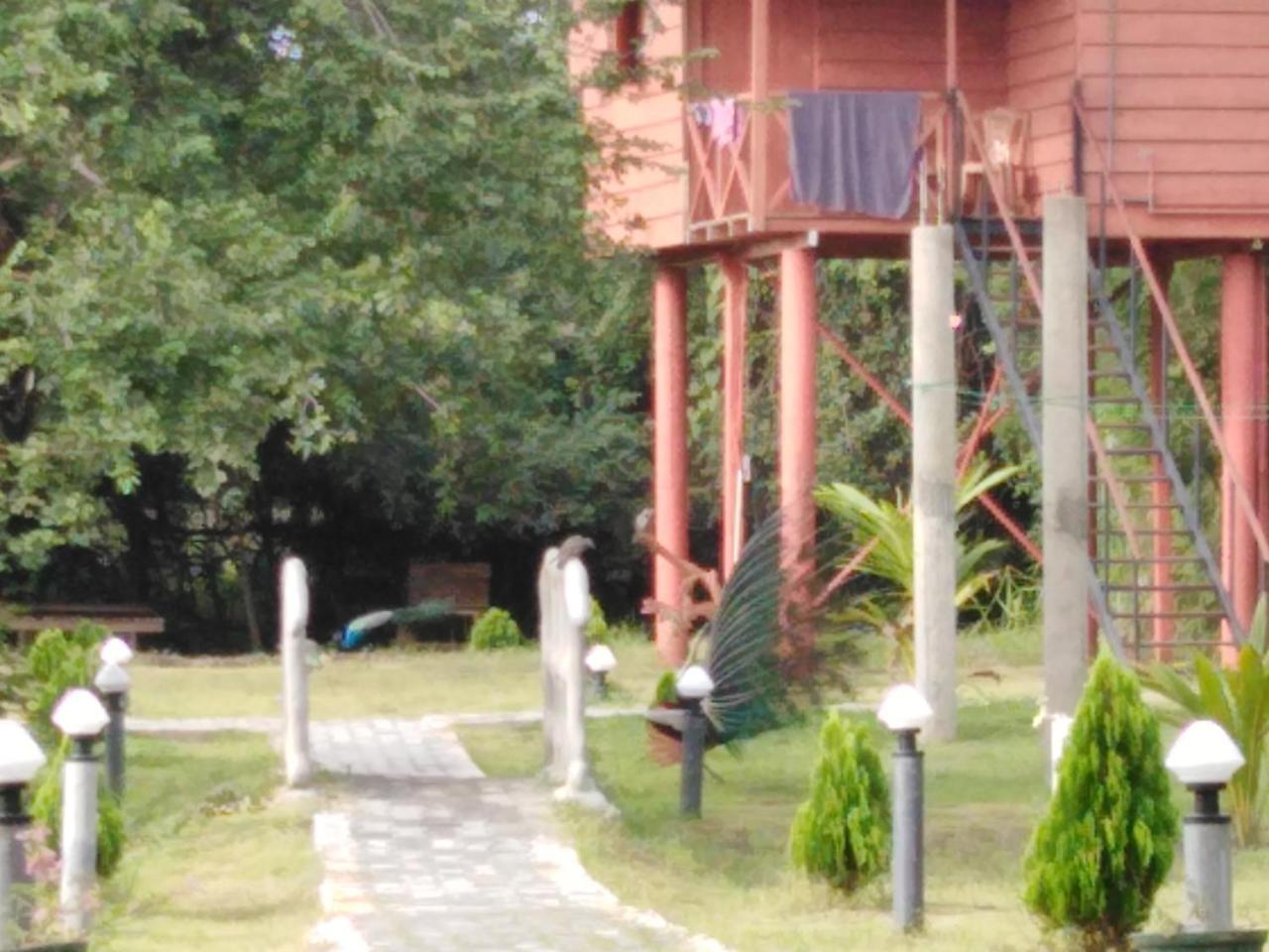 Sigiri Royal Point Tree House Hotel Сигирия Екстериор снимка